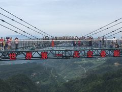 -梦幻奥陶纪景区