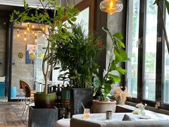 -the rug 飞毯 (朝阳公园店)