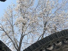 -丝绸小镇荻港古村