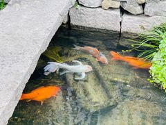 -前童古镇
