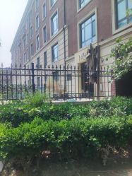 -米莱摄影写真(五大道别墅店)