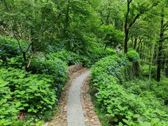-莫干山风景区