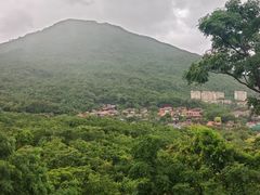 -三亚亚龙湾人间天堂鸟巢度假村