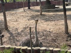 -石家庄市动物园