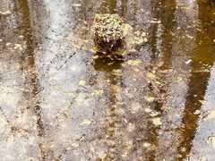 -桤木河湿地公园