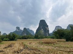-明仕田园