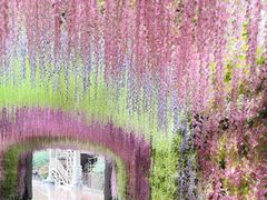 -济南方特东方神画