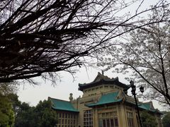 -武汉大学-樱园