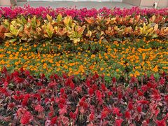 -天津医科大学肿瘤医院(本部院区)