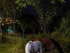 -福建鲤鱼洲酒店