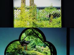 -杭州植物园