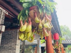 -顺德了能馆(虎门店)