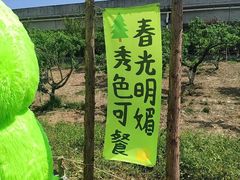 -秀丽东方