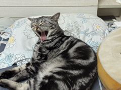 -小时光咖啡馆(北锣鼓巷店)
