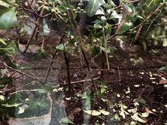 -上海昆虫博物馆