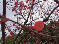 -嘉北郊野公园