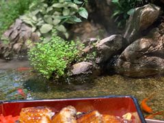 -森味薪火烧•烧鸟居酒屋•日本料理(望京店)