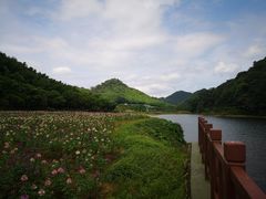 -广州市石门国家森林公园
