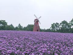 -同里国家湿地公园