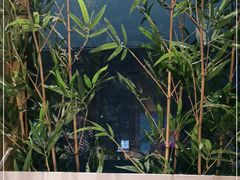 -牛村来人潮汕牛肉火锅(西单店)