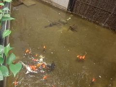 -五指生足疗保健(通州旗舰店)