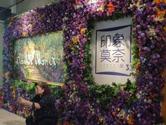 -印象莫奈时光映迹艺术展