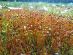 -旺泉餐饮店·清真牛肉面馆
