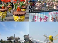 -荷兰花海