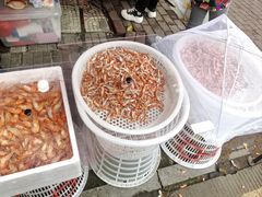 -花园菜市场