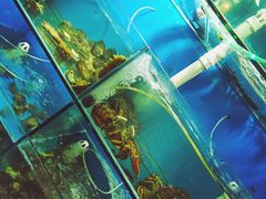 -名超海鲜烧烤大排档