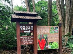 -中国科学院西双版纳热带植物园