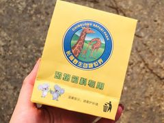 -广州长隆野生动物世界