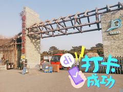 -塘沽森林公园