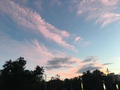 -1点点(国美店)