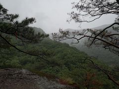 -五女峰国家森林公园