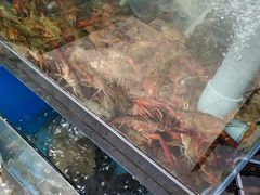 -万景饭店·鱼街农家菜
