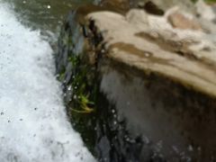 -将军关探险漂流