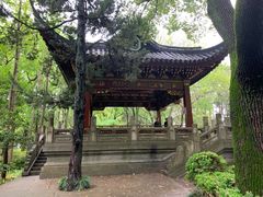 -汇龙潭