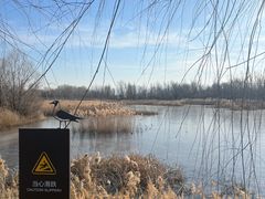 -野鸭湖国家湿地公园