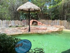 -珠海长隆海洋王国