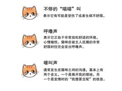 -唐小姐の猫狗洗护·购宠旗舰店(周浦万达店)