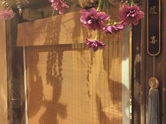 -叶叶菩提·晋福宫