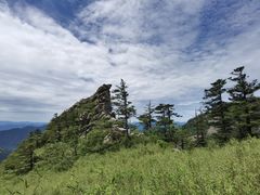 -朱雀国家森林公园