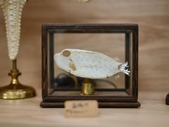 -中国湿地博物馆