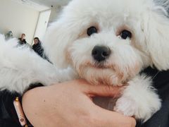 -美联众合动物医院·24h京西诊疗中心
