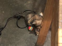 -时光转角咖啡馆(西康路店)