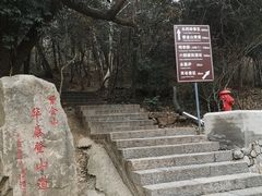 -紫金山山顶公园