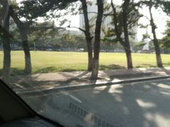 -东北大学(南湖校区)