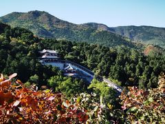 -香山公园