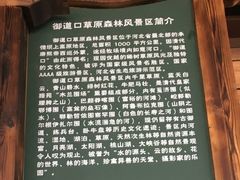 -御道口草原森林风景区-游客咨询处